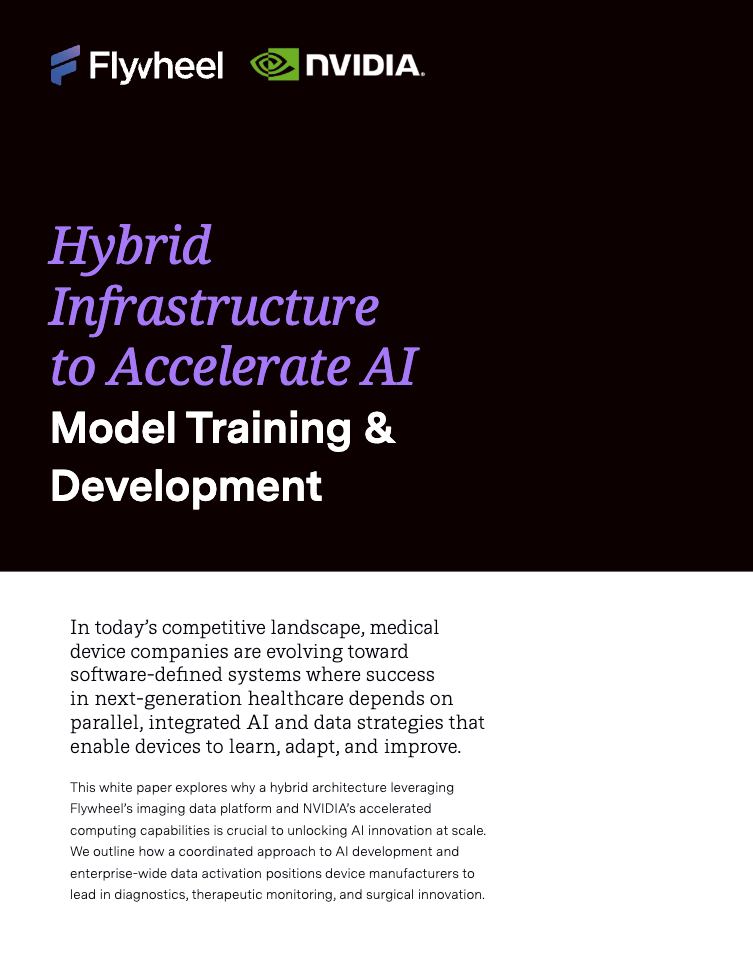 White Paper: Hybrid Infrastructure to Accelerate AI Model Training & Development