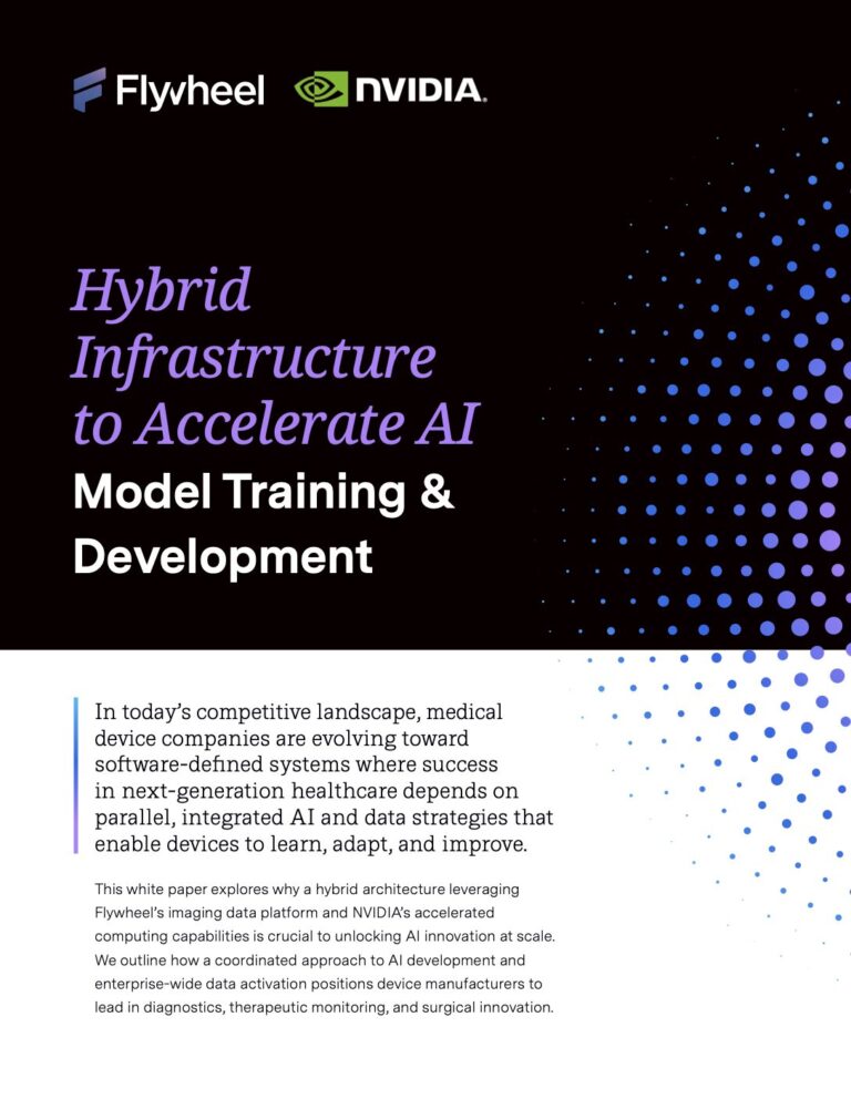 White Paper: Hybrid Infrastructure to Accelerate AI Model Training & Development