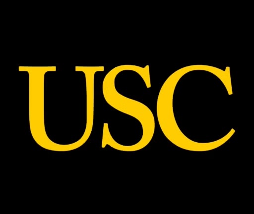 Case Study: Dornsife Neuroimaging Center Supports Research Across the University of Southern California with Flywheel
