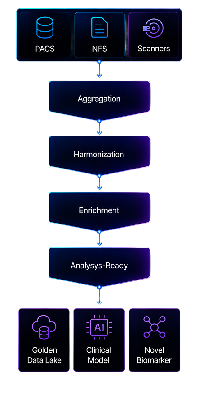 Platform infographic